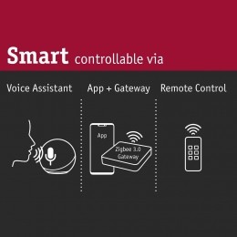 PaulmannCepheischakel-controllerZigBee30