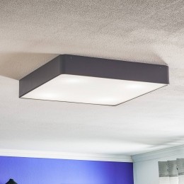 ArgonOroplafondlampvanstaalenglasgrijs45cm