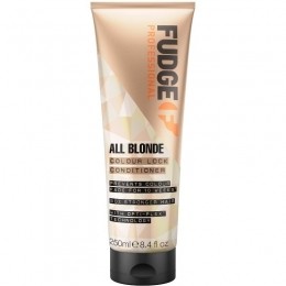 FudgeAllBlondeColourLockConditioner250ml