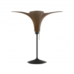 UMAGEJazztafellampdonkereikenzwartevoet