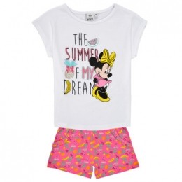 SetjesTEAMHEROESMINNIESET