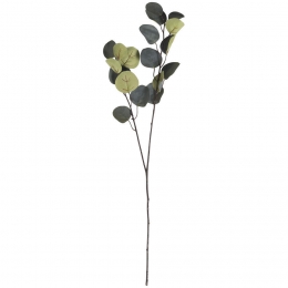 KunsttakEucalyptusGroen