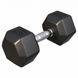Dumbbell-1x15kg-Gietijzer-Hexagon-Halter-GorillaSports