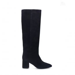 Blauwesudehogenlaarzenmethak