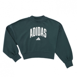 SweateradidasSeasonalsEssentialsCollegiateTypographyCrewneckSweatshirtK
