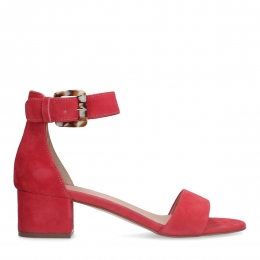 Rozesudesandalenmethak