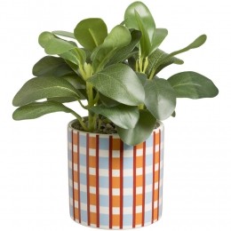 PlantInPotCarreauxRood