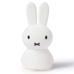 MrMariaNijntjeShinesLight22cm