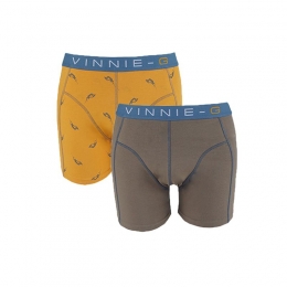 Vinnie-GBoysboxershortsWakeboardGrey-Print2-Pack-164170