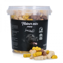 LunaapossChoiceTrainermixPuppie