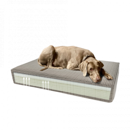 MadisonOrthopedischkussen45x55taupe