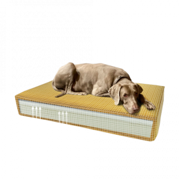 MadisonOrthopedischkussenVelvetgeelS