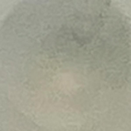 Colco2reactorplasticinzetColombo-Colombo