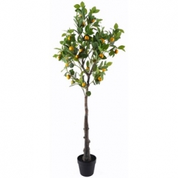 KunstplantenSignesGrimaltCitroenboomXgra