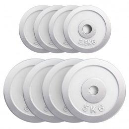 Halterschijvenset30kg-4x25en4x5kg-Gietijzer-Chroom-30mm-GorillaSports