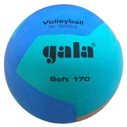 GalaVolleybalJeugd170grBV5685