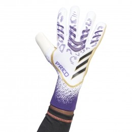 adidasPredatorProKeepershandschoenenWitPaarsZwart