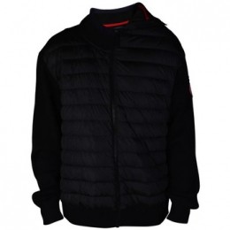 WindjackCanadaGoose-