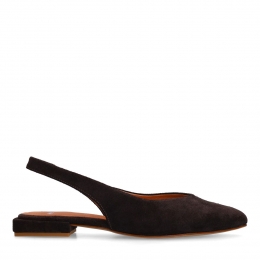 Bruinesudeslingbacks