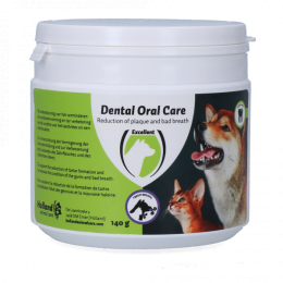 DentalOralCareHondKat