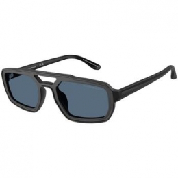 ZonnebrilEmporioArmani0EA4240U501787