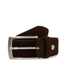 Donkerbruinesuderiem