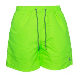 Vinnie-GzwembroekGreenGecko-S