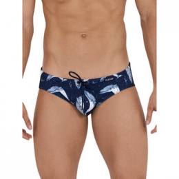 ZwembroekCleverZwembroekMistery