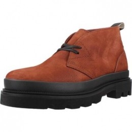 LaarzenClarksBADELLDB