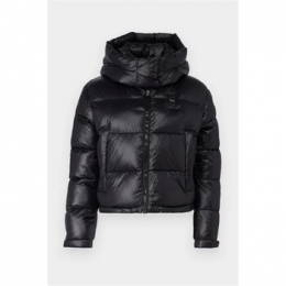 DonsjasBlauer24WBLDC02044006648