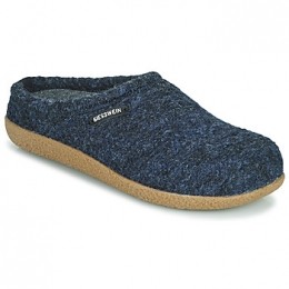 PantoffelsGiessweinVEITSH