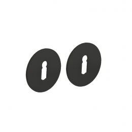 Intersteelrozettenmetsleutelgatzelfklevendplat55x2mm-RVSmatzwart