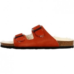 SlippersPlakton269853