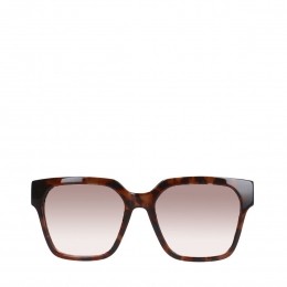 Bruinezonnebrilmetprint