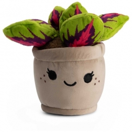 PlucheGekleurdePlant