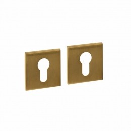 Intersteelcilinderrozettenvierkantverdekt53x53x6mm-PVDmessingmat