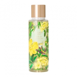 VictoriasSecretWildWillowBodyMist250ml