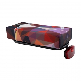 BagagedragerkussenBIGBear