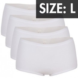 Triumph4stuksMollyMaxiActie