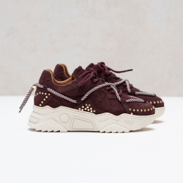 DWRSLabel-JUPITERstudsBordeaux-Maat41