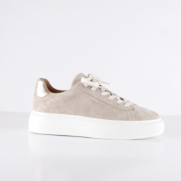 DWRSLabel-YODOSandChampagne-Maat39