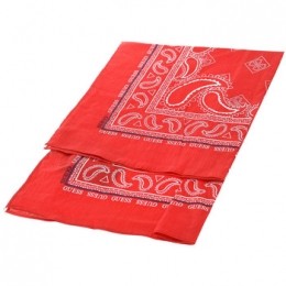 SjaalGuessAM8765COT03-RED