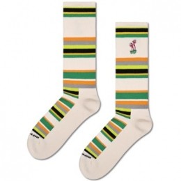 Happysocks3stuksAlwaysGrowCrewSockActie