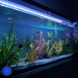 25tm5meteraquariumledstripblauw