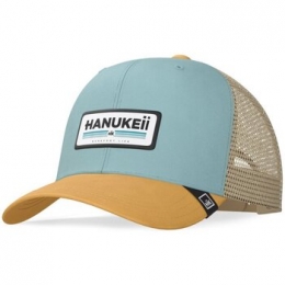 PetHanukeiiHK-A05-24M03C10-UN