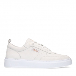 Wittelerensneakers