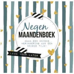 LantaarnPublishersinvulboek9-maanden-zwangerschap