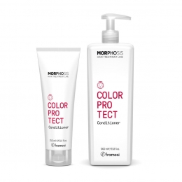 FramesiMorphosisColorProtectConditioner