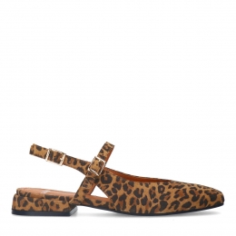 Leopardsudeslingbacks