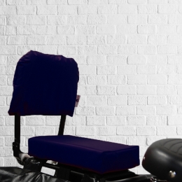 FietskussenPakketPaarsmetrugleuningenvoetsteuntjes